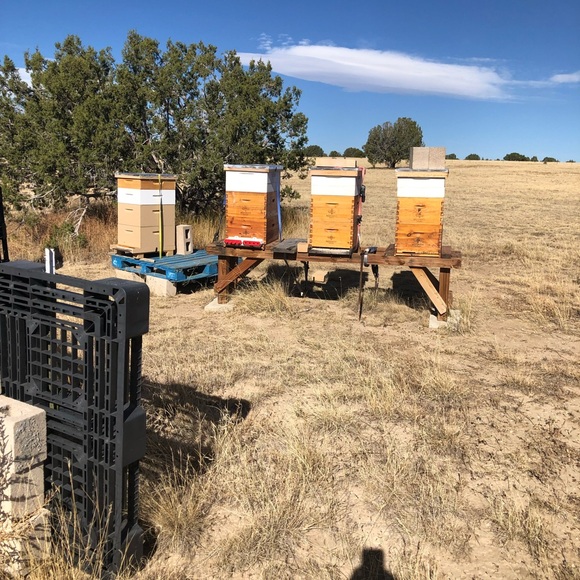 Peach Honey Bees Wax Body Balm - Picture 6 of 6